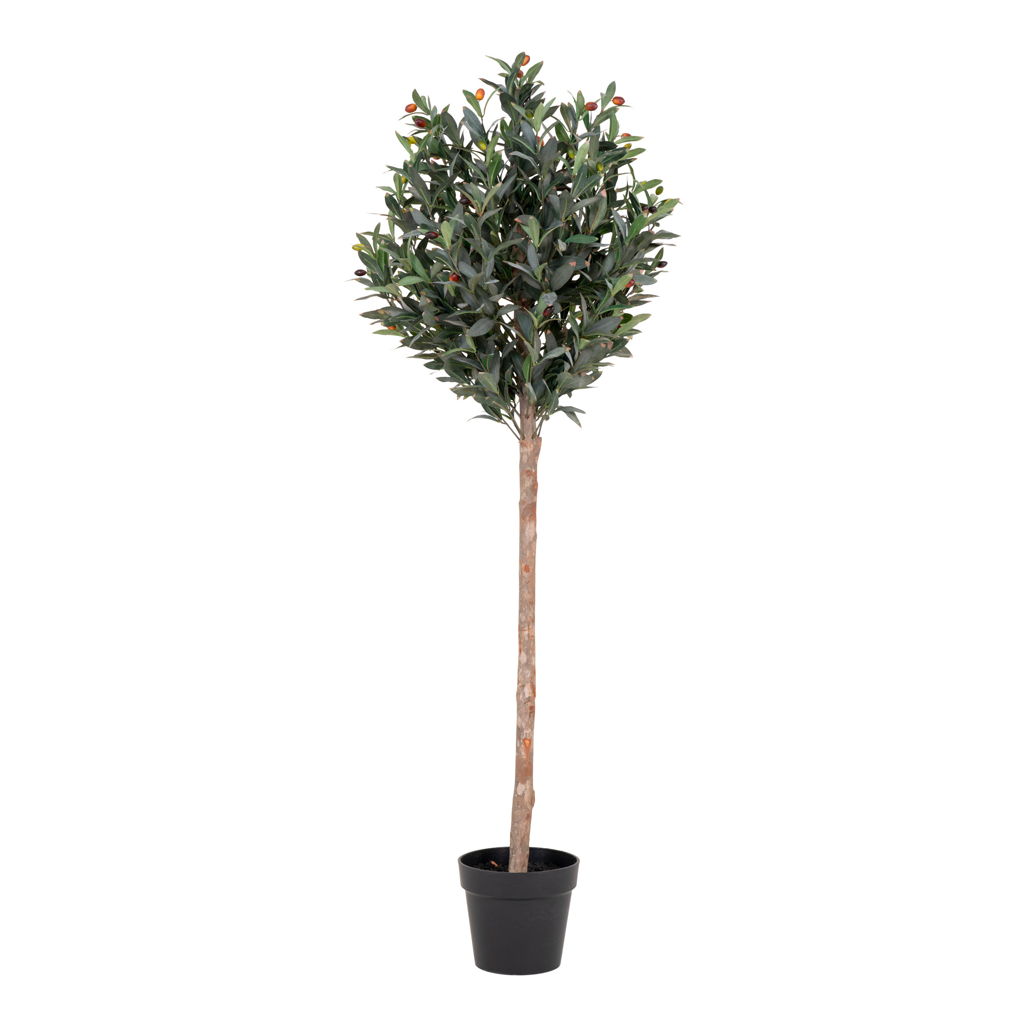 House Nordic Oliventræ - Kunstigt plante 150