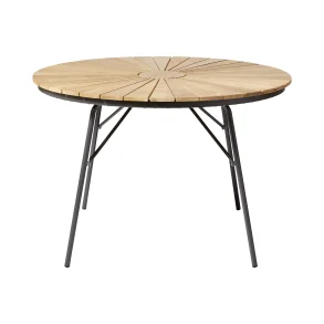 CINAS ELLEN BORD ANTRACTIC - 110�