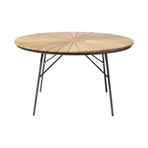 CINAS ELLEN BORD ANTRACTIC - 130�