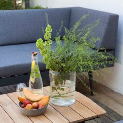 CINAS ORIGINAL RIO LOUNGEBORD TEAK/ANTRACITGR STEL - 120