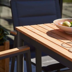 CINAS ORIGINAL MOOD BORD/POSITIONSSTOLE ALU/TEAK ANTRACIT - 167,5