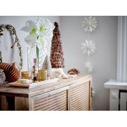 BLOOMINGVILLE PABLO MANGO NATUR - 100