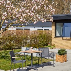 CINAS ORIGINAL CLASSIC TEXTIL/TEAK SORT - 84