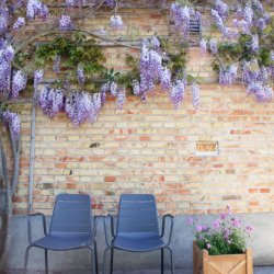 CINAS ORIGINAL PARC STOL ANTRACIT/TEAK ALU - 80