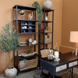 CHIC ANTIQUE 5 HYLDER BRED SORT - 212