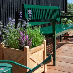 CINAS ORIGINAL BRIGHTON BNK 3 PERS MAHOGNY/GRN - 150