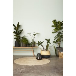 HBSCH GROUND BNK EGETR NATUR - 180