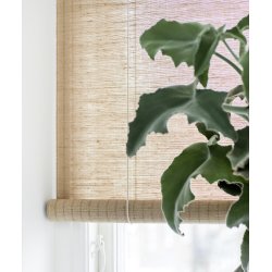 COLOR &amp; CO RULLEGARDIN PLANTE  BRUN - 100