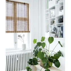 COLOR &amp; CO BRUN/STRIBET BAMBUS - 90