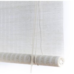 COLOR &amp; CO NATUR PLANTE RULLEGARDIN - 120