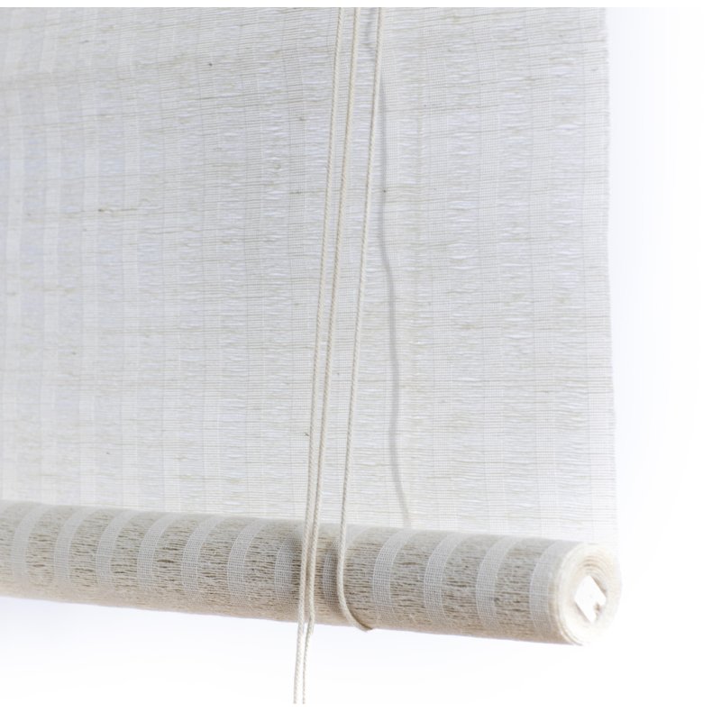 COLOR &amp; CO NATUR PLANTE RULLEGARDIN - 100