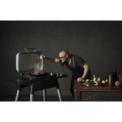 EVERDURE FORCE GASGRILL MINT - GEN 2
