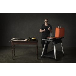 EVERDURE GASGRILL FURNACE MINT - GEN 2