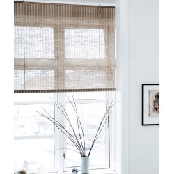 COLOR &amp; CO BRUN NATUR PLANTE RULLEGARDIN - 90