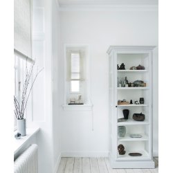 COLOR &amp; CO NATUR PLANTE RULLEGARDIN - 120