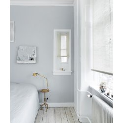 COLOR &amp; CO NATUR PLANTE RULLEGARDIN - 180