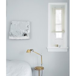 COLOR &amp; CO NATUR PLANTE RULLEGARDIN - 120