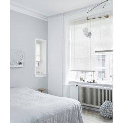 COLOR &amp; CO NATUR PLANTE RULLEGARDIN - 120