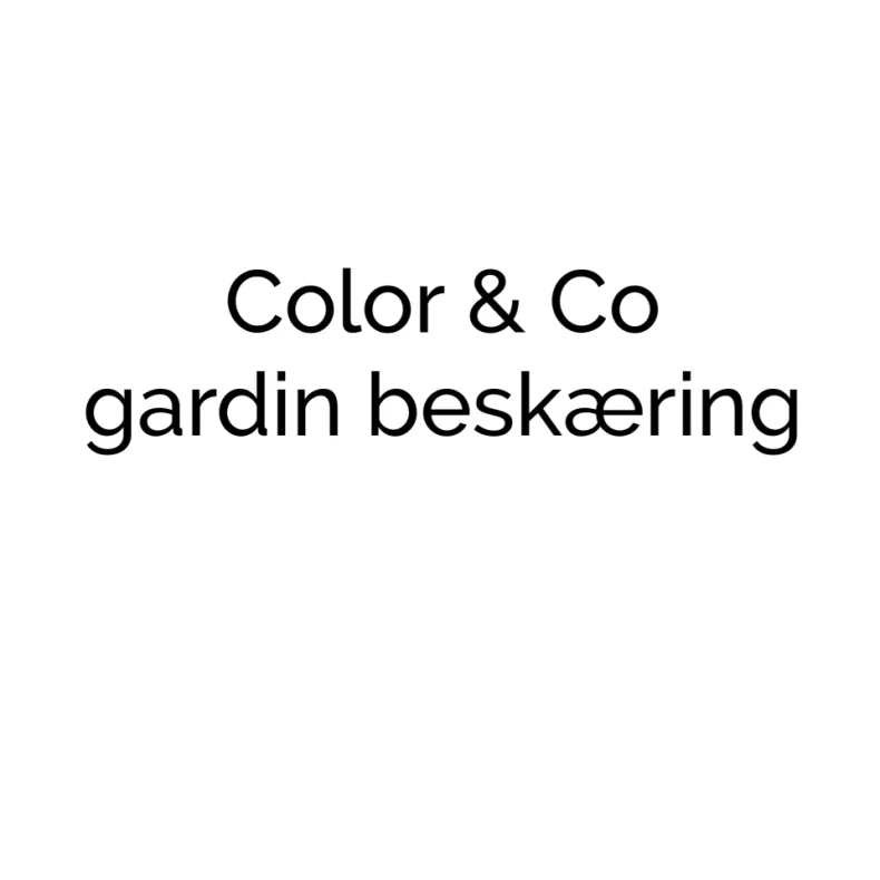 COLOR &amp; CO SPECIAL ML / BESKRING