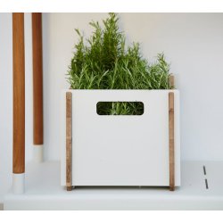CANE-LINE BOX OPBEVARINGSKASSE I HVID - TEAK 36