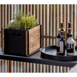 CANE-LINE CLUB BAKKE - SORT 44