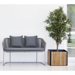 CANE-LINE COMBINE PLANTEKASSE - TEAK 53