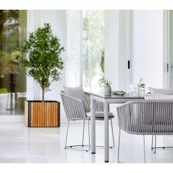 CANE-LINE COMBINE PLANTEKASSE - TEAK 53