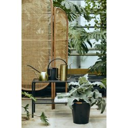 NORDAL BALI RUMDELER NATUR - 180