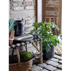 BLOOMINGVILLE VIDA DAYBED SORT - 190