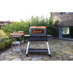 EVERDURE FURNACE ROTISSERIE SYSTEM