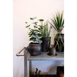 TRADEMARK LIVING MARCY RULLEBORD GALV. JERN - 130